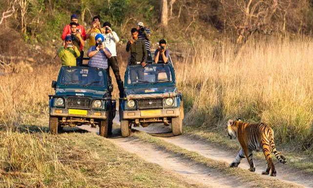 Jim Corbett National Park Tour​